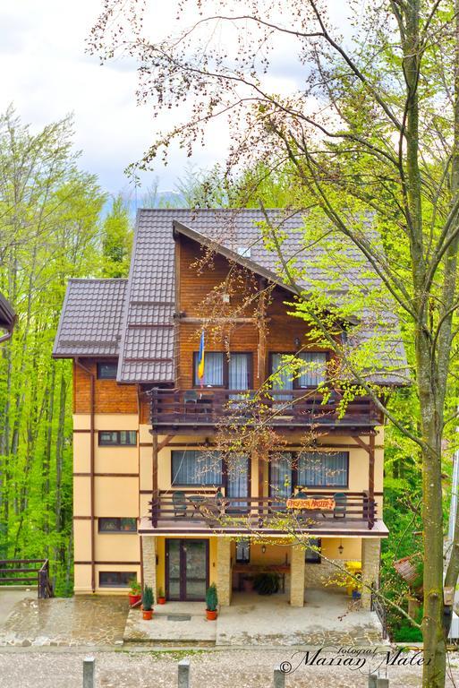 Pension Master Sinaia Exteriér fotografie