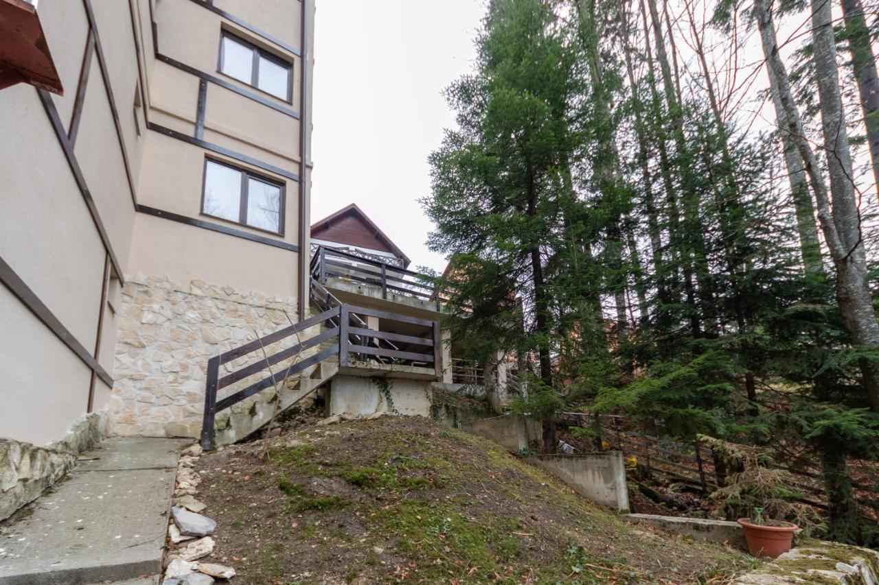 Pension Master Sinaia Exteriér fotografie