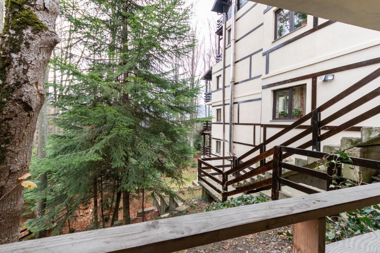 Pension Master Sinaia Exteriér fotografie